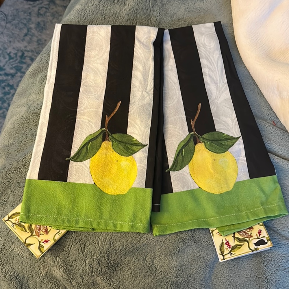 Set of two dish towels - brand new